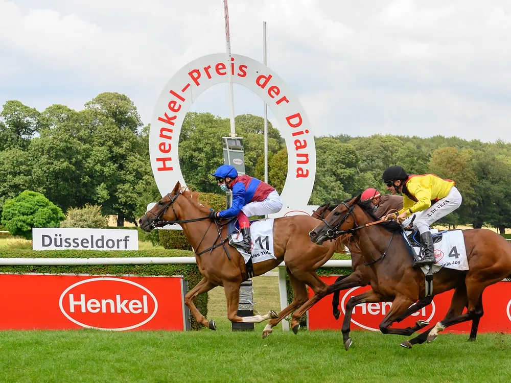 Jockey Lanfranco „Frankie“ Dettori auf der Stute Miss Yoda beim Zieleinlauf des Hauptrennens um den Henkel-Preis der Diana