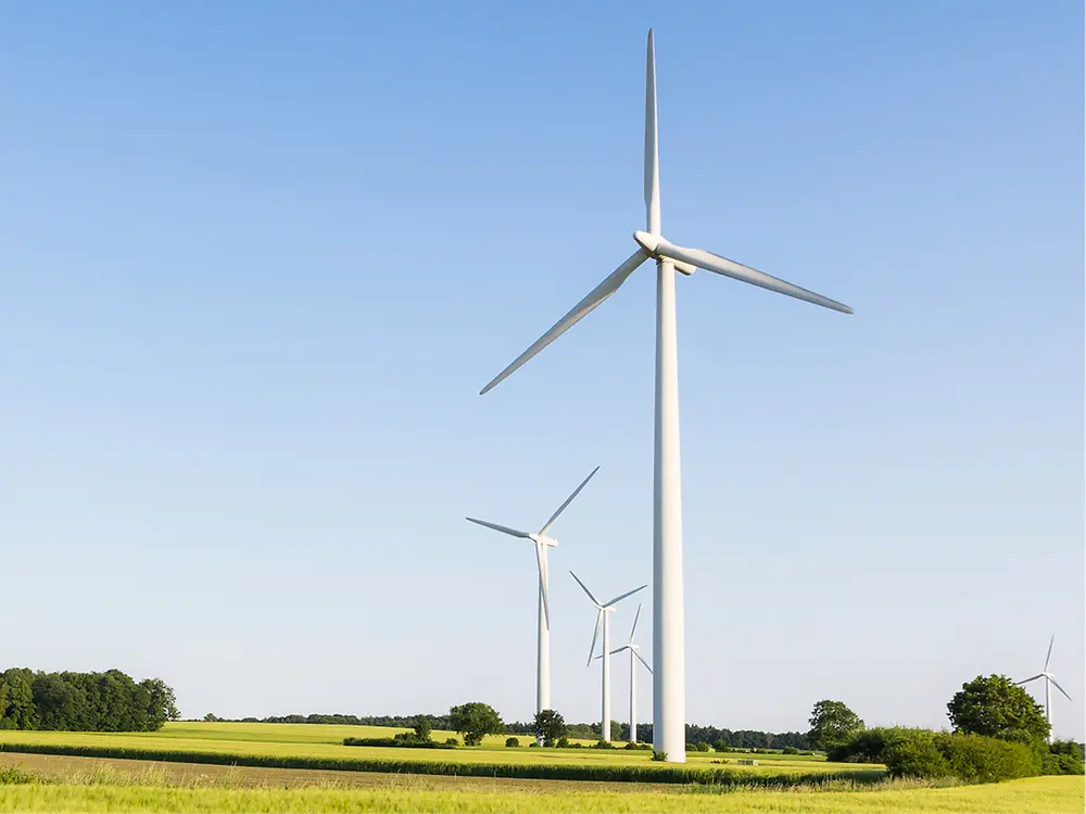 Windräder auf einem Feld