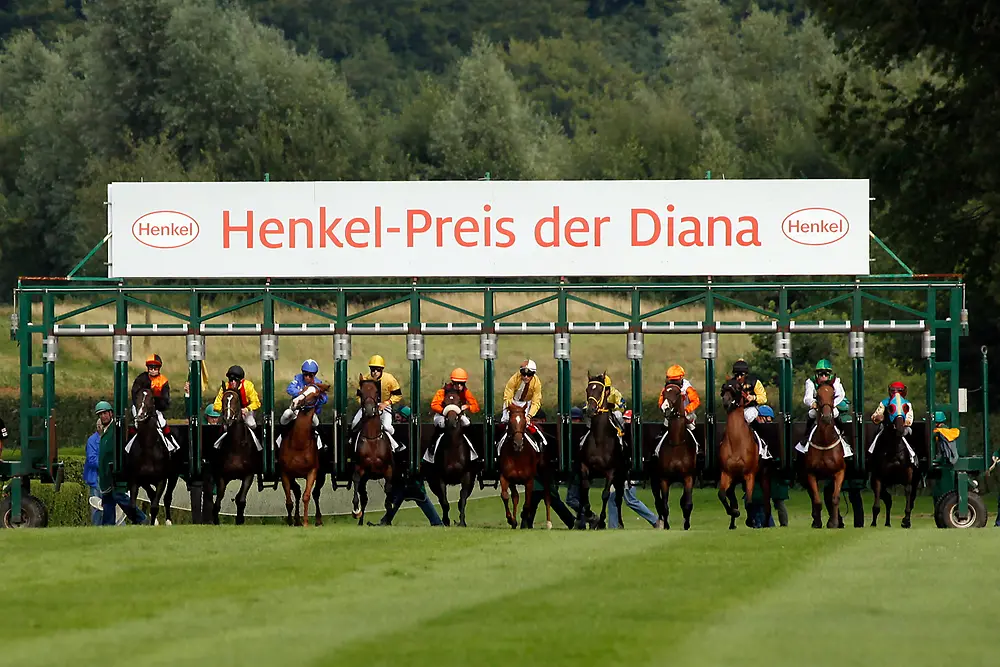 Henkel Preis der Diana