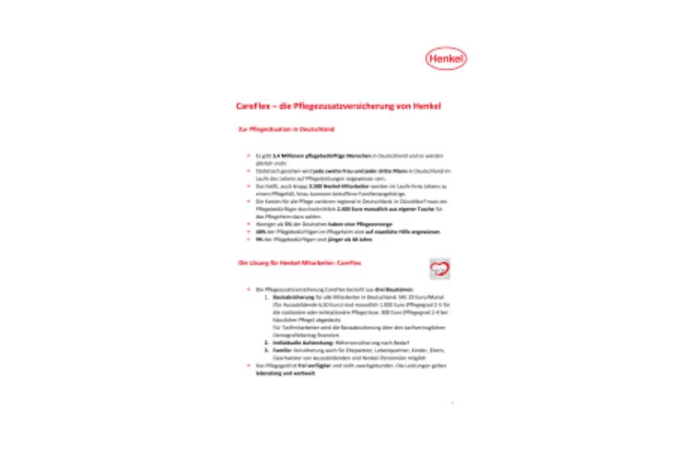 2018-11-12 CareFlex - Hintergrund - Zahlen und Fakten zur Pflege.pdf.pdfPreviewImage