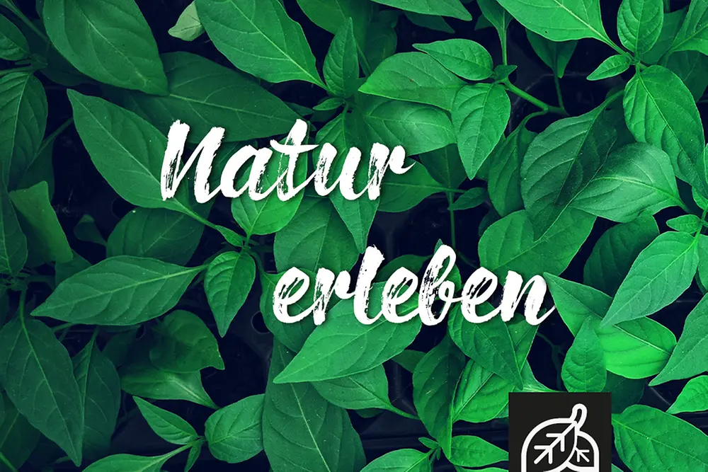 Achtsamkeit: Natur erleben